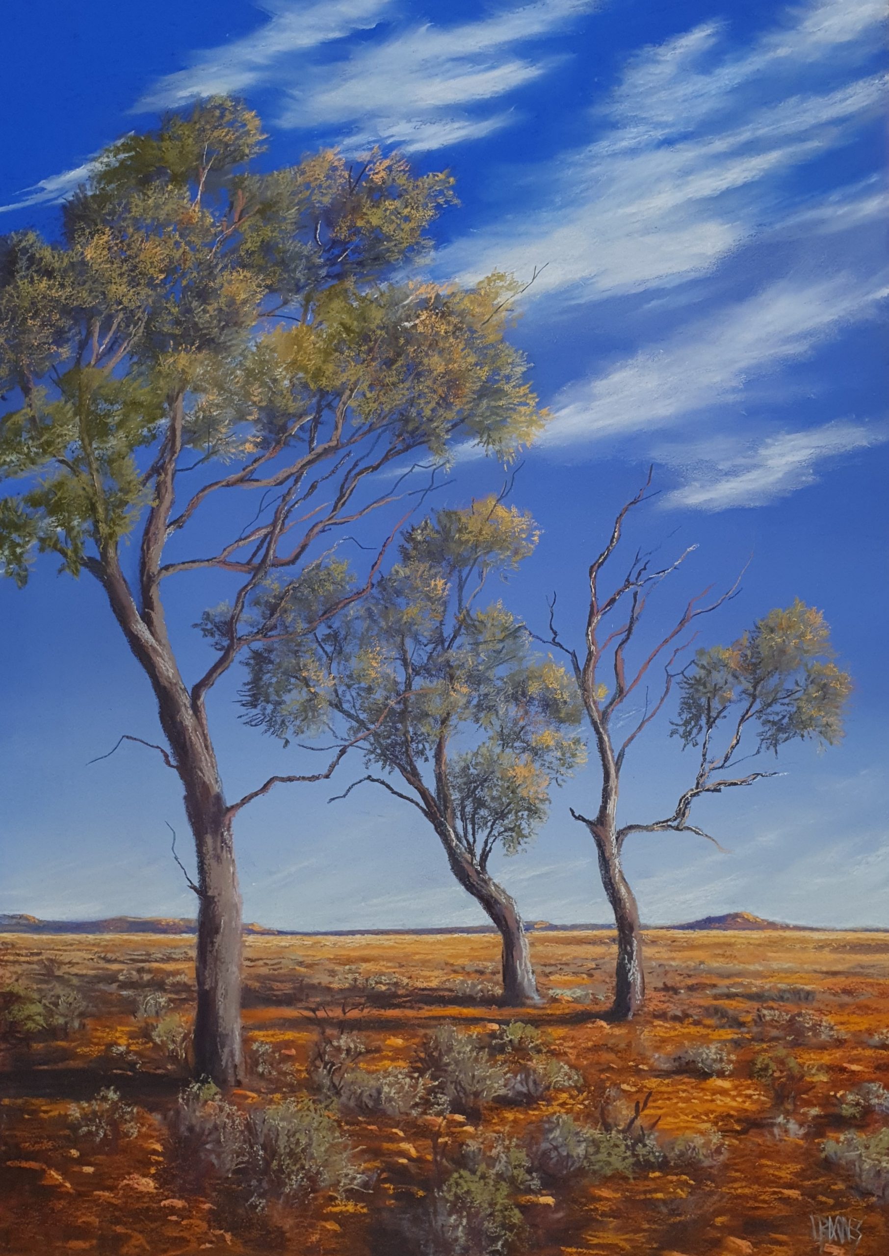 Tibooburra Landscape 2 Pastel on paper 670mm x 470mm $2 525.00