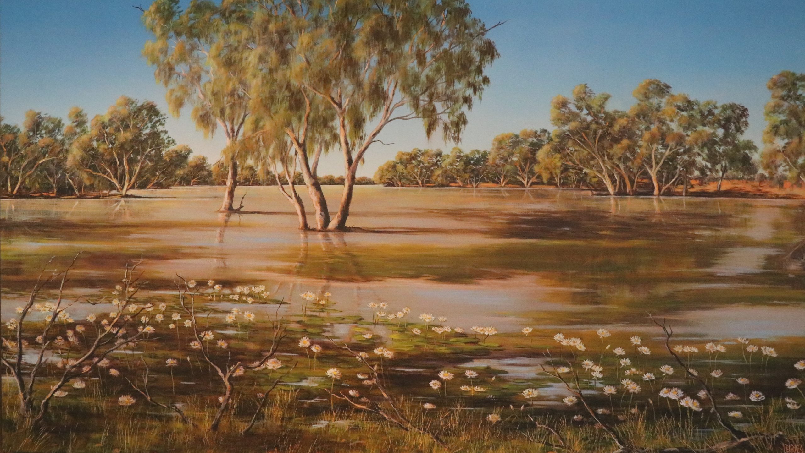 Sold (Commission) Lake Young Woman – Comongin Station Oil on Canvas 1400mm x 800mm $6 675.00