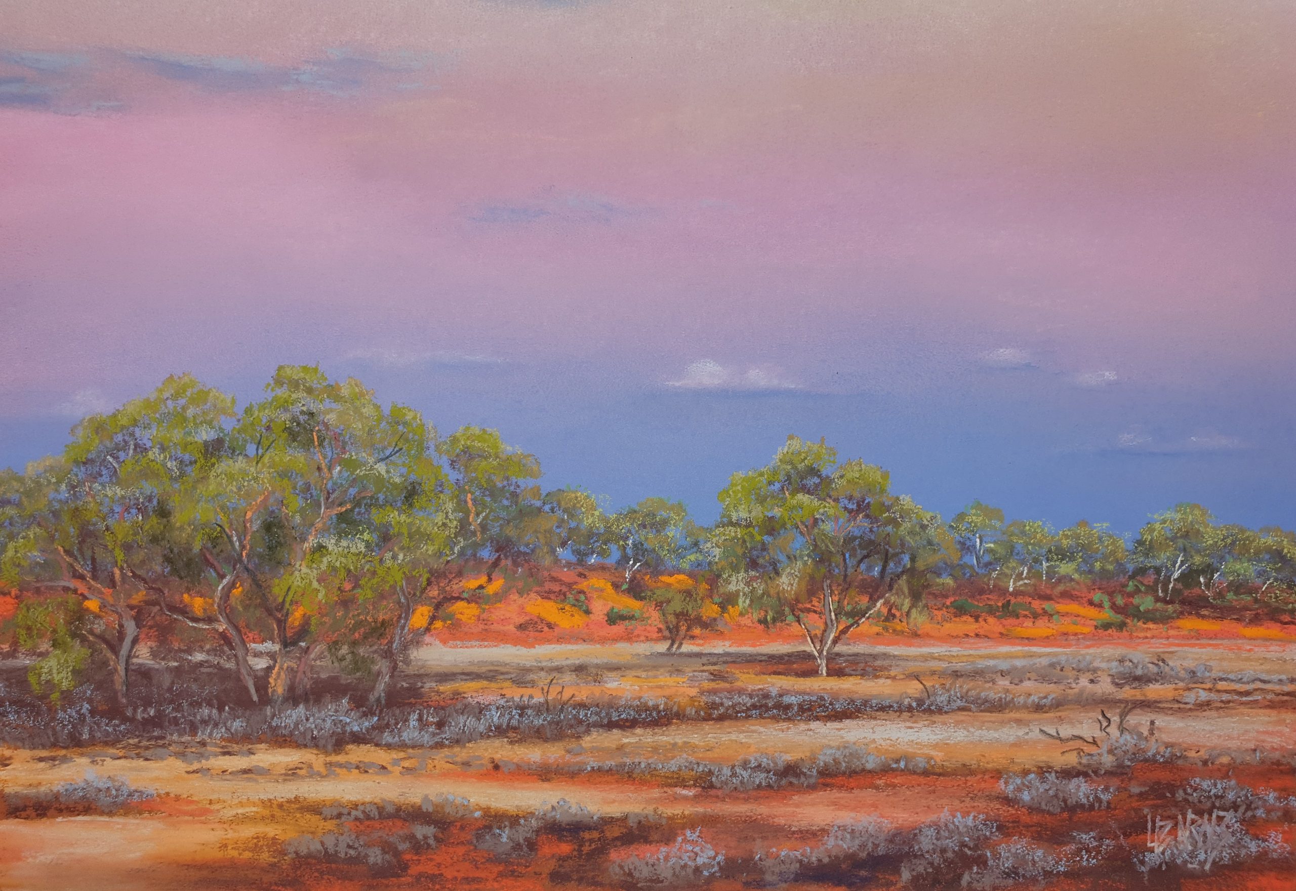 Near Noccaberara Waterhole Pastel on paper 330 mm x 240mm $975.00