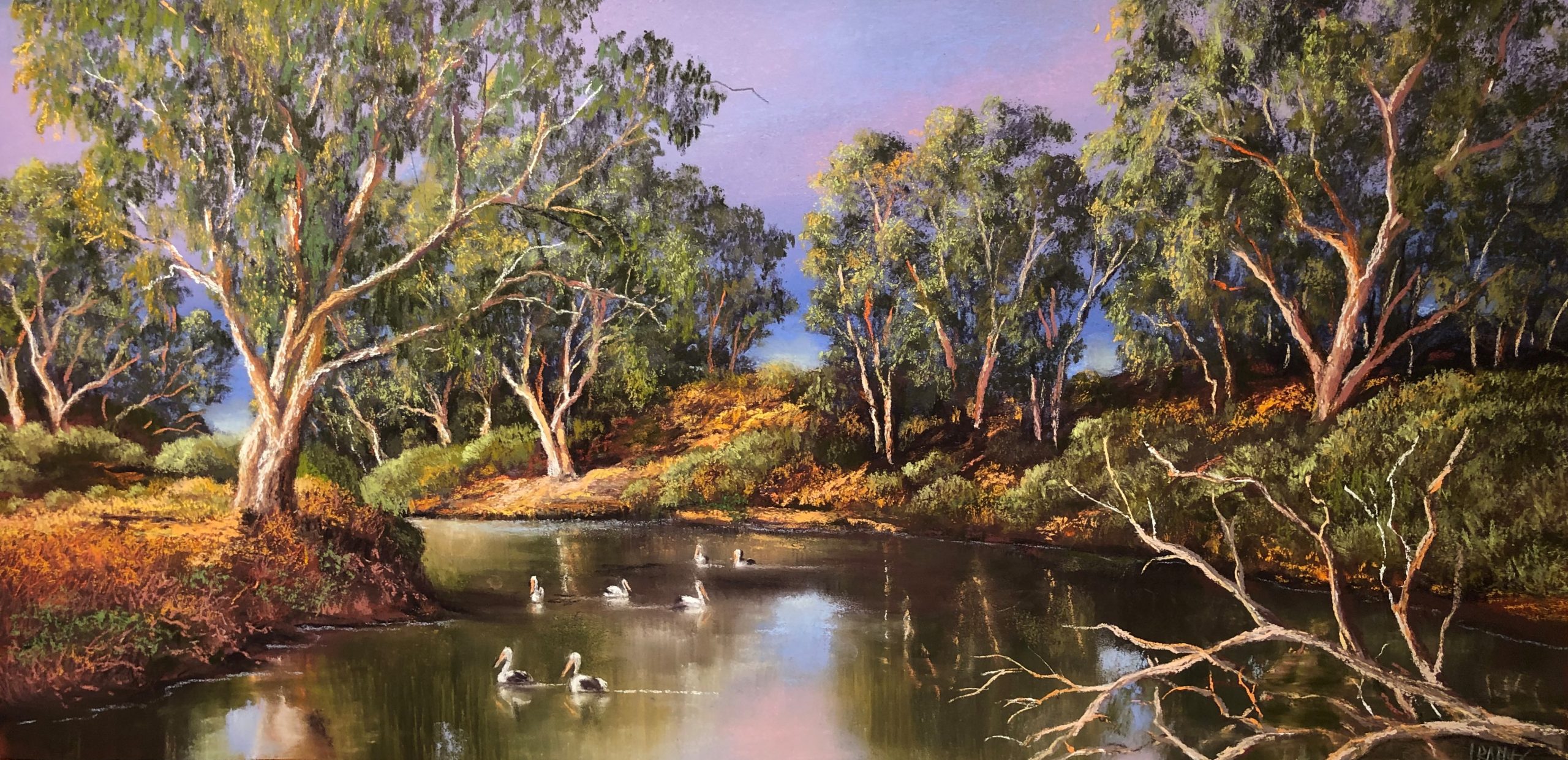 Pelicans at Innamincka Pastel on Paper 670mm x 470mm $1 950.00