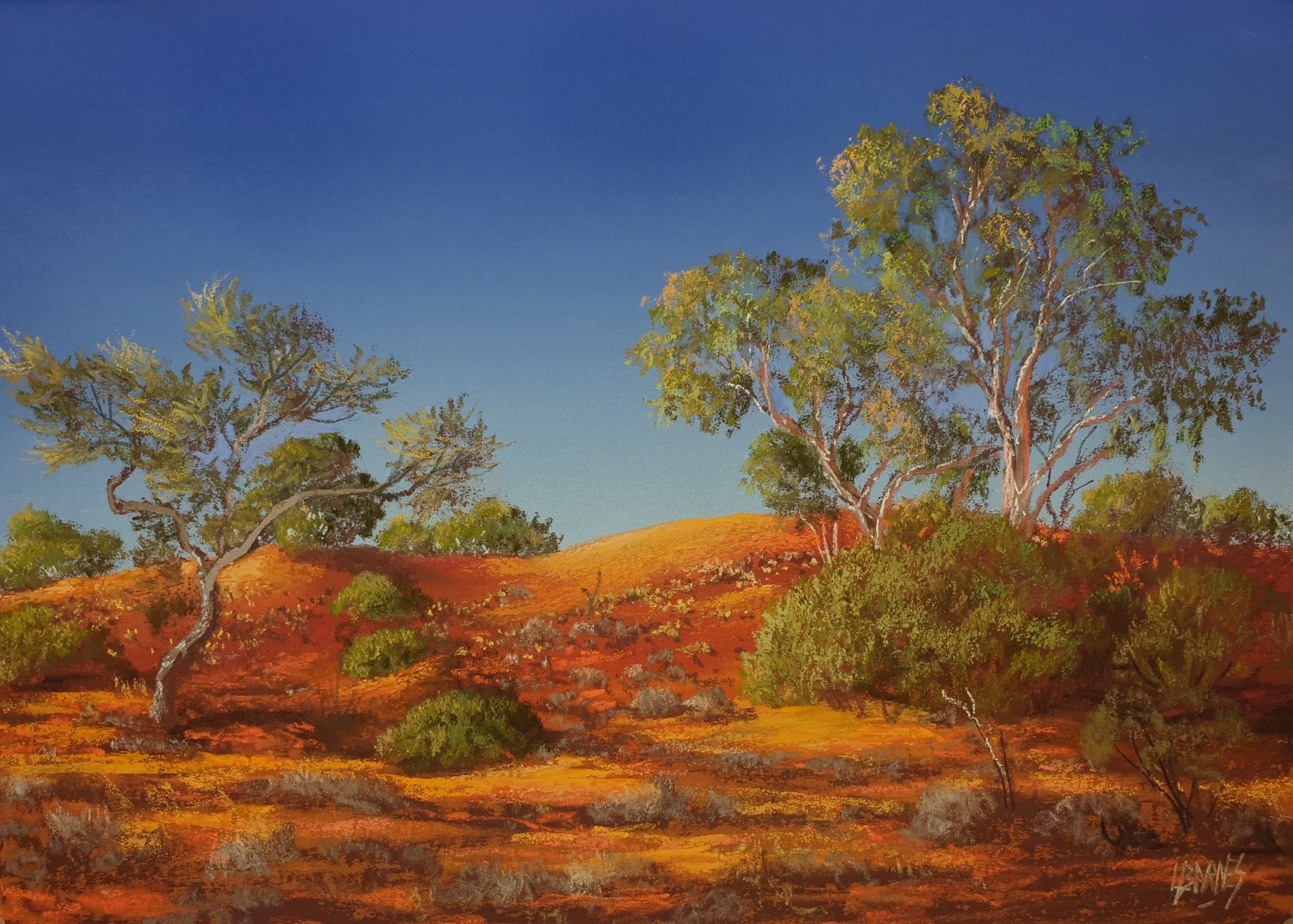 Sandhill on Nockatunga Pastel on Paper 330 mm x 240mm $975.00